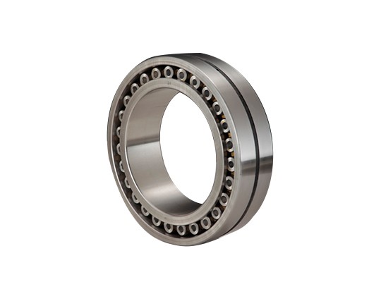 Double row cylindrical roller bearing