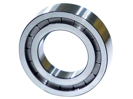 Single-row full complement cylindrical roller bearings