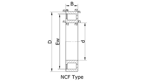 Single-row full complement cylindrical roller bearings